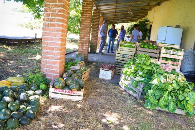 A través de cooperativas de trabajo, Gualeguaychú apuesta a la agroecología