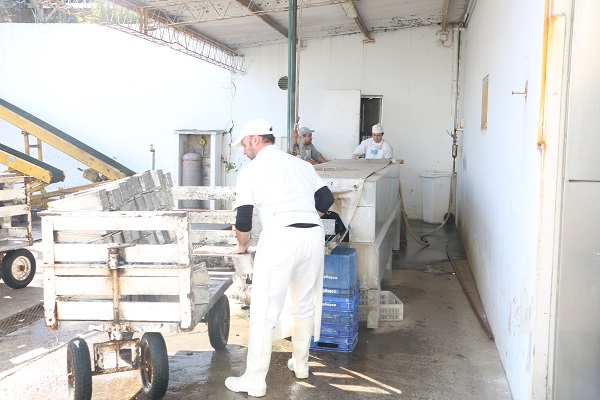 Cooperativa tambera entrerriana trabaja tres veces a la semana y cerró tres puestos de venta