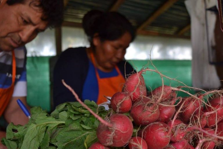 Organizaciones de consumidores y comercializadoras buscan acercar frutas y verduras a Buenos Aires bajo intermediación solidaria