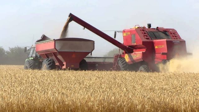 La cosecha de trigo tuvo excelentes números en Entre Ríos