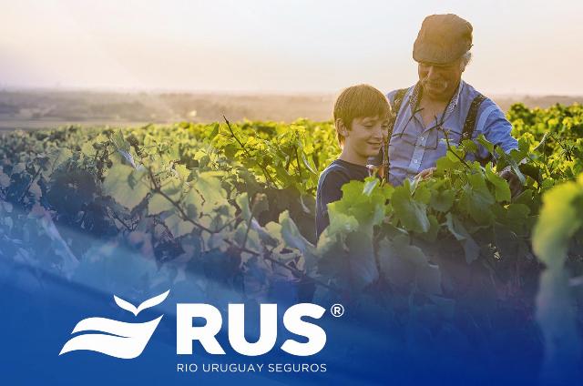 Río Uruguay Seguros dice presente en ExpoAgro 2020 1