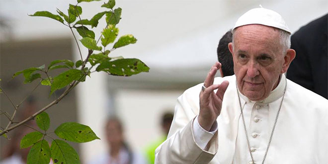El Papa Francisco acompañó la celebración cooperativa 1
