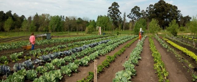 Promueven agroecología y gestión de RSU en Santa Anita