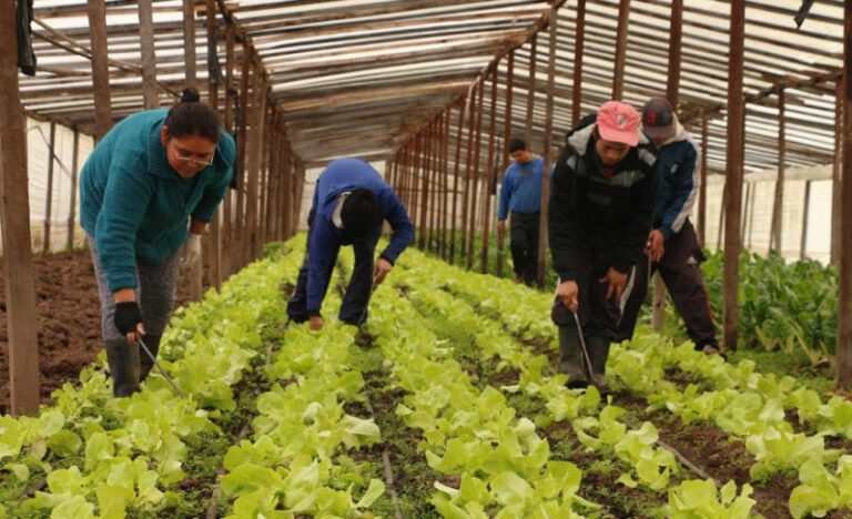 Las cooperativas agropecuarias tienen un rol clave 1