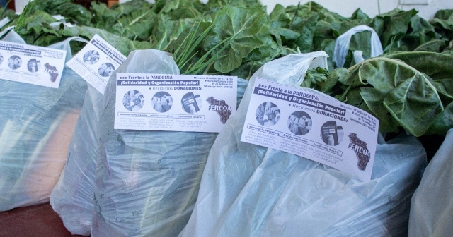 Se vendieron más de 10 mil kilos de verduras 1