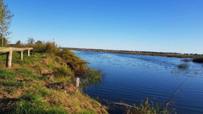 Recuperan aguas servidas en un proyecto integral y ecológico