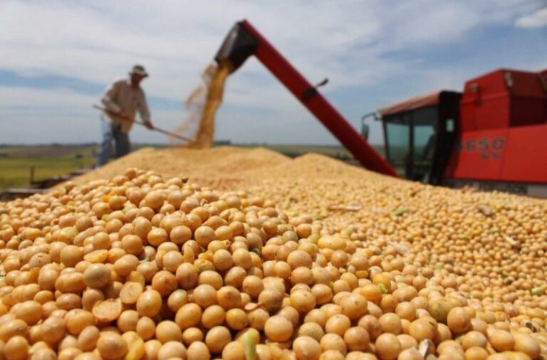 Argentina, en el puesto 12 entre los mayores agroexportadores del planeta