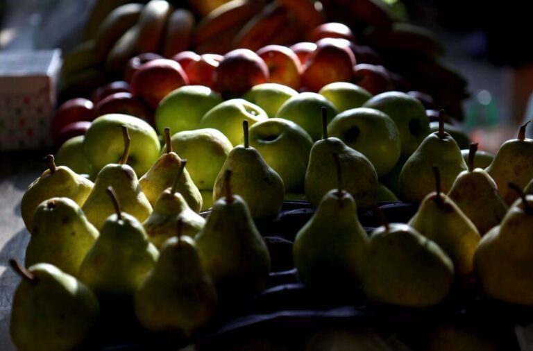 Mejoran las exportaciones de peras y manzanas