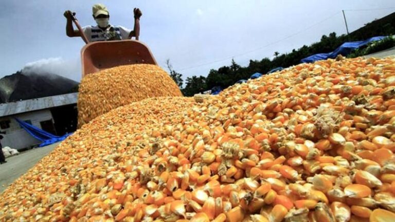 Rechazan el cese de comercialización de granos
