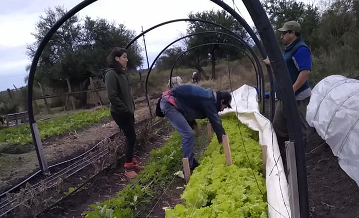 Quieren construir un galpón multipropósito para comercializar productos agroecológicos