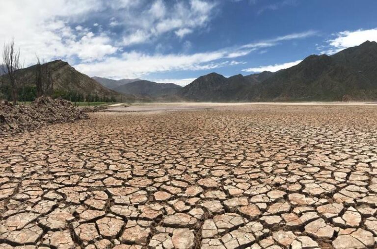 Exigen medidas urgentes para mitigar las consecuencias de la sequía