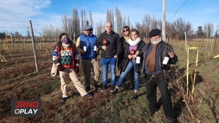 Una vitivinícola crece en Chubut