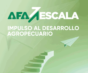 Banner300x250 AFA