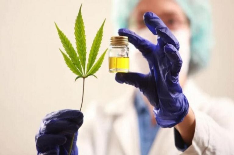 Una ley que facilita el acceso al cannabis medicinal