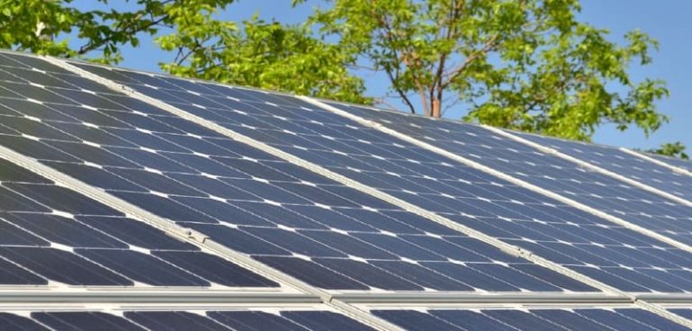Destacan el alto rendimiento de su parque solar