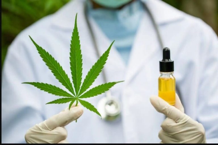 El cannabis medicinal es tema de interés académico