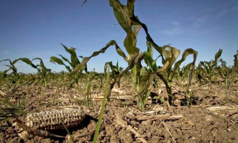 Preocupación de los pequeños y medianos productores por las sequías