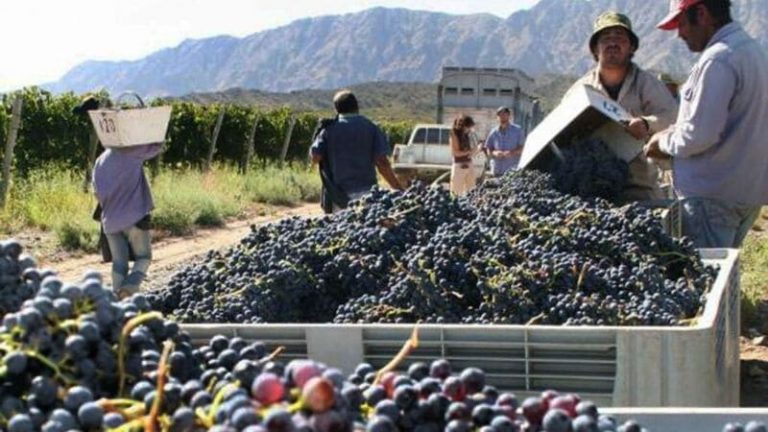 Subsidian en más de 363 millones la producción vitivinícola