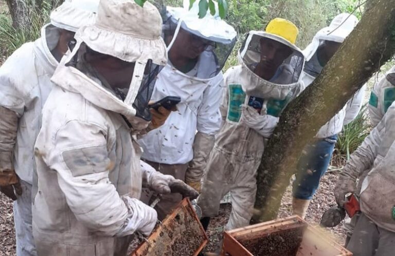 Participan en encuentro por el desarrollo sostenible y productivo de la apicultura