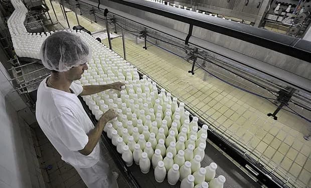 Comenzarán a producir dulce de leche, yogurt y variedades de queso