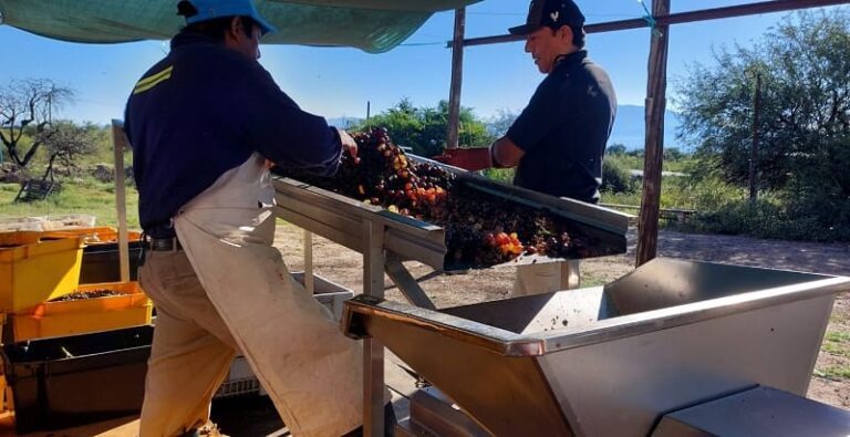 Trabajo-solidaridad-y-esfuerzo-con-el-sol-a-la-vista