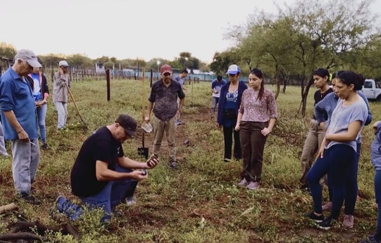 Impulsan-la-sostenibilidad-produciendo-plantas-nativas