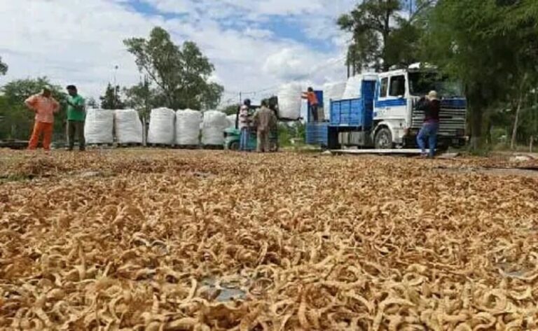 Nos-comprometemos-con-el-fruto-del-monte-santiagueno