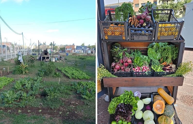 Capacitan a jóvenes en la producción agroecológica