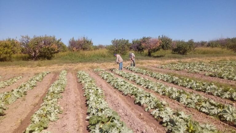 Familias-unidas-por-la-necesidad-de-la-produccion-agricola