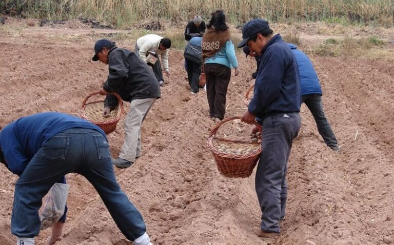 Productos elaborados en la tierra natal