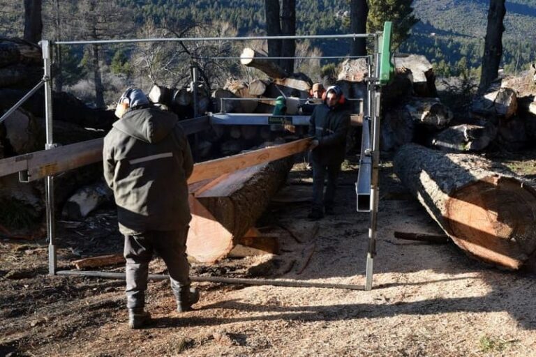 Un nuevo paso para garantizar la continuidad laboral