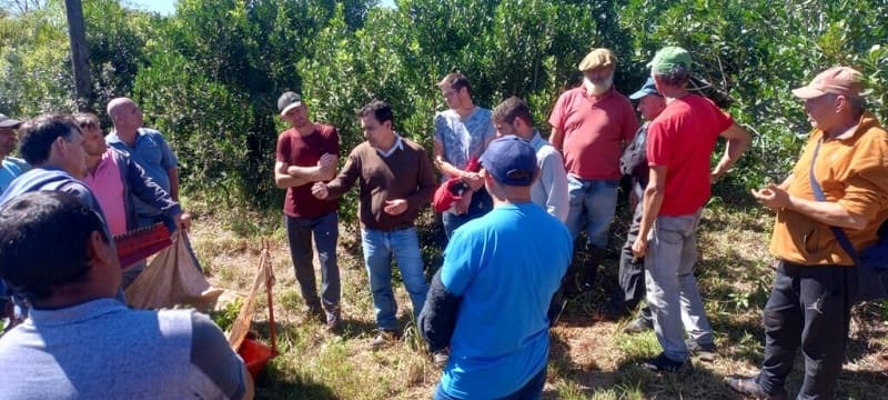 Buscan conquistar nuevos horizontes productivos