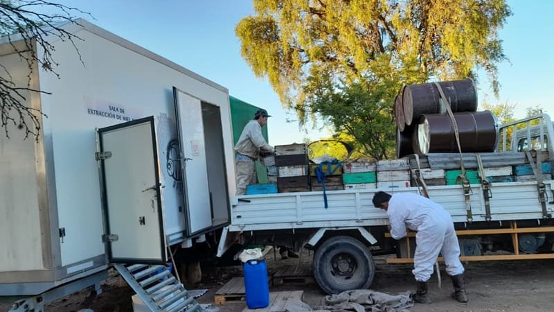 Producen bajo estándares de apicultura sustentable