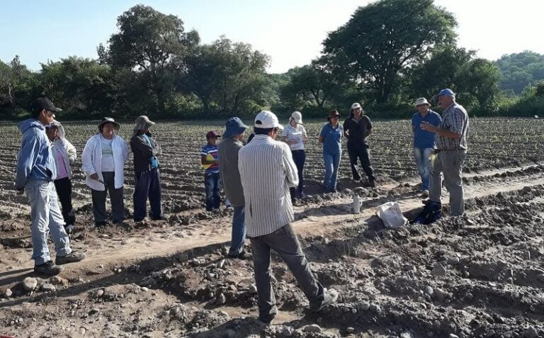 Todos somos compañeros, hermanos y productores de la agricultura familiar que se dedican a producir alimentos sanos