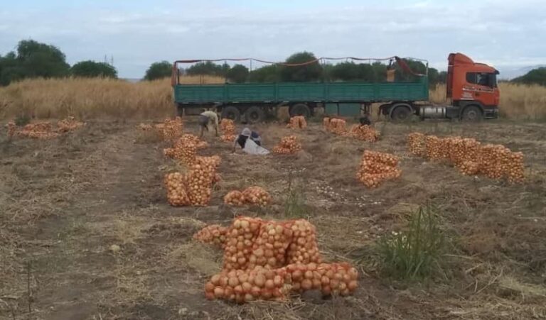 Conjugan esfuerzos para la comercialización de productos agroecológicos