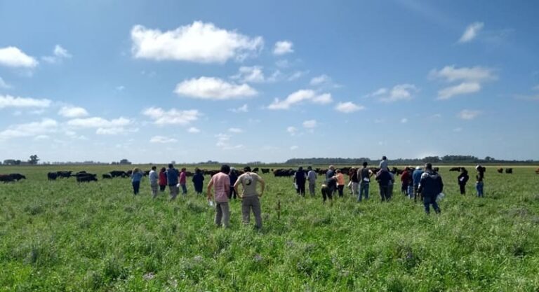 Fomentan prácticas agrícolas sostenibles y valorizan la tierra