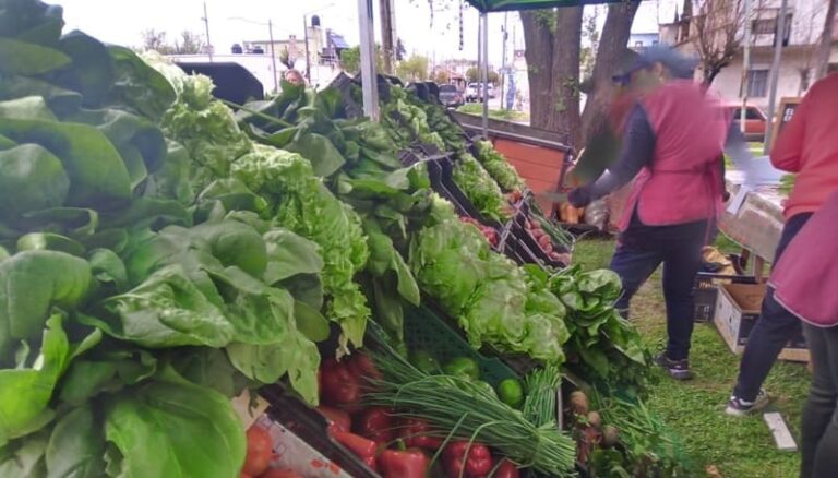 Productores organizados, con dificultades en común