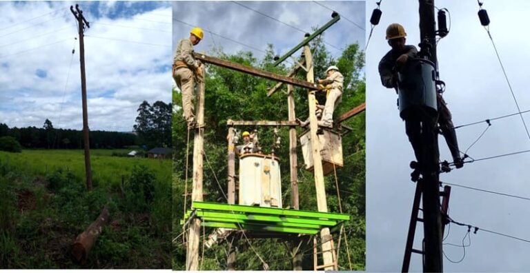 Un norte en común para sostener la actividad