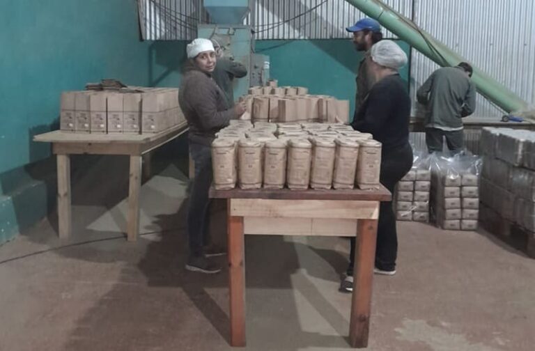 Impulso al desarrollo local y expansión de la producción de yerba mate