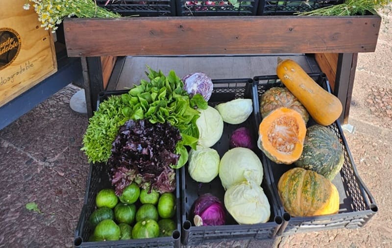 Crean un puente entre el campo y la ciudad con productos agroecológicos