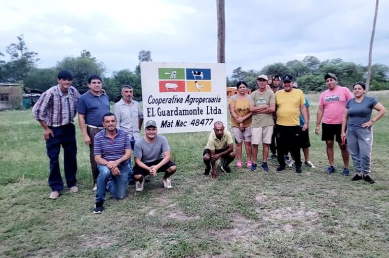 Crearon una red de producción avícola que abastece 20 pueblos