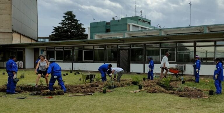 Cultivan plantas nativas y hortalizas con técnicas agroecológicas
