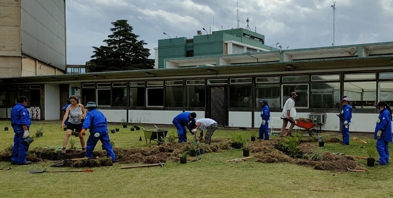 Cultivan plantas nativas y hortalizas con técnicas agroecológicas
