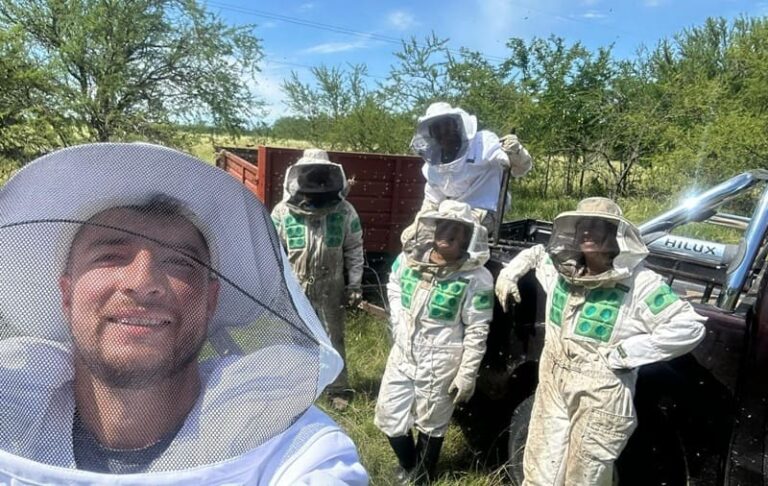 Transforman el trabajo de la abeja en salud