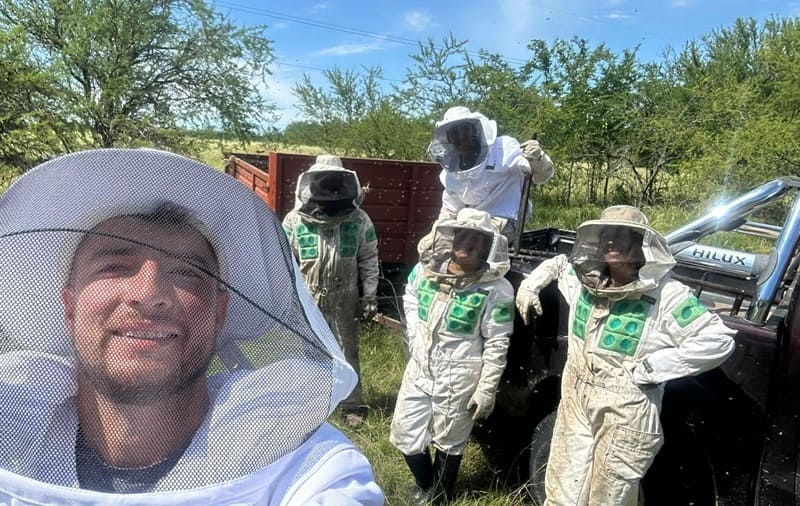 Transforman el trabajo de la abeja en salud
