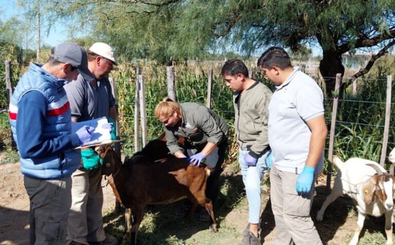 Exponen avances en producción caprina y ovina en Los Llanos Riojanos