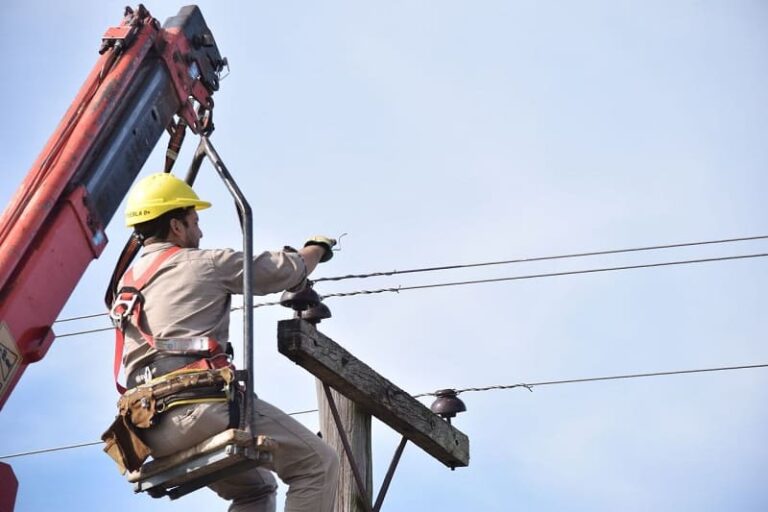 Conectan el campo al futuro de las telecomunicaciones