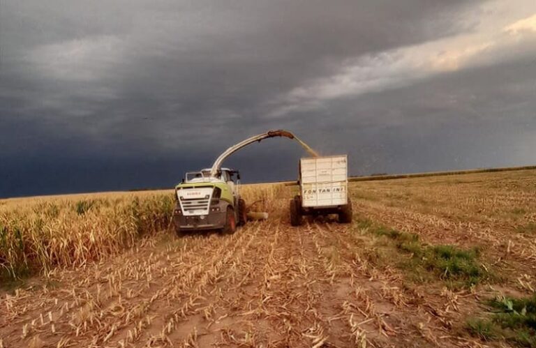 Sostienen servicios clave para productores lecheros en contexto de concentración