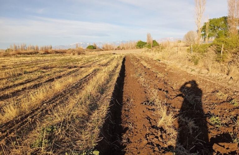 Transformaron tierras áridas en campos productivos con esfuerzo colectivo
