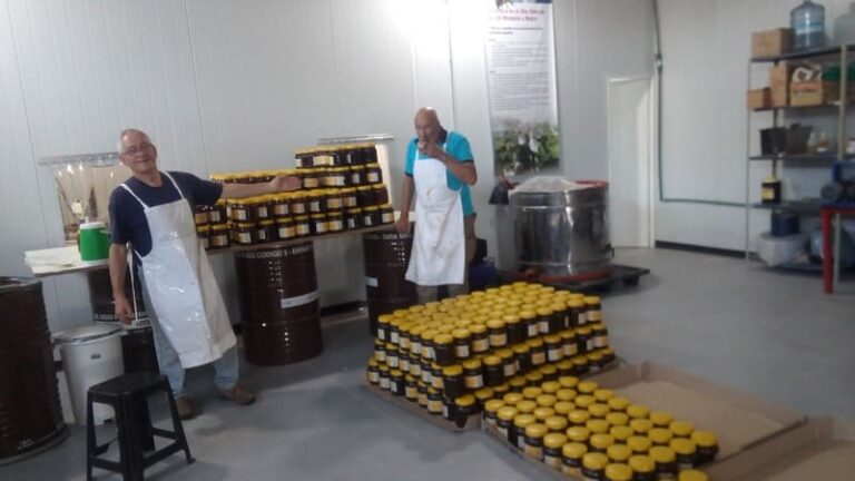 Apicultores del Alto Valle rionegrino trabajan con marca propia